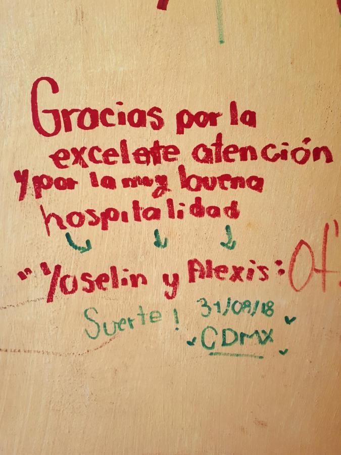 Davish's House Pensión Mérida
